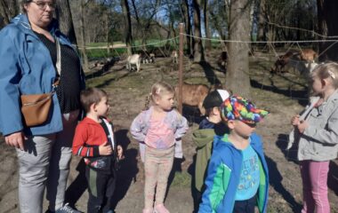 Velikonoce na farmě - 4a8f57db d080 4d59 bfe6 06e4e138b0fa 380x240