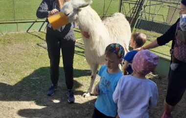 Velikonoce na farmě - 57136471 7634 434b 8aba 2b83428157e9 380x240