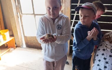 Velikonoce na farmě - 78271193 9718 414f 8446 d3f513421e81 380x240