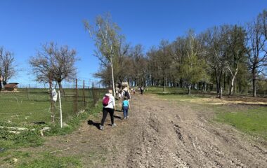 Velikonoce na farmě - IMG 0905 380x240