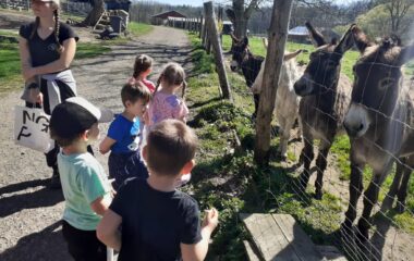 Velikonoce na farmě - ad5be943 bc50 4453 88e4 7f8c7e9737c7 380x240