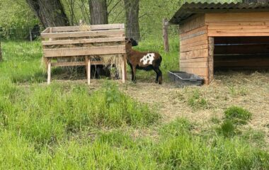 v&yacute;let do kina a do nezn&aacute;ma - 860370f0 d887 4aef 9fd6 119d701fc2cf 380x240