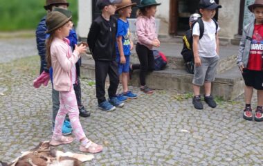 v&yacute;let - Karlov&aacute; Stud&aacute;nka - 370a5d51 2cde 42d9 aa28 c93ff9038ea5 380x240