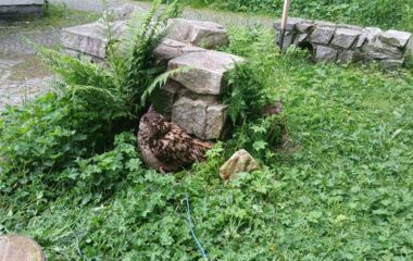 v&yacute;let - Karlov&aacute; Stud&aacute;nka - 3b23b324 6108 4d33 9d2e 8568547972af 380x240