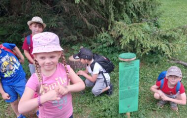 v&yacute;let - Karlov&aacute; Stud&aacute;nka - 437f4862 e6ab 42bc b2e6 687746fd82a3 380x240