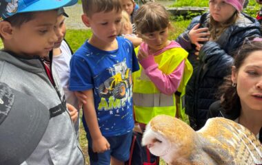 v&yacute;let - Karlov&aacute; Stud&aacute;nka - 487022d3 9348 4dc0 8e10 66288287cc59 380x240