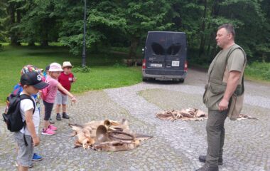 v&yacute;let - Karlov&aacute; Stud&aacute;nka - 4fcacce3 bff7 4edc a875 4738f54cdd98 380x240