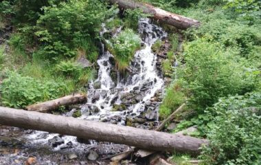 v&yacute;let - Karlov&aacute; Stud&aacute;nka - 53cf15f6 4fcf 4c39 a1a8 16705ee339b4 380x240