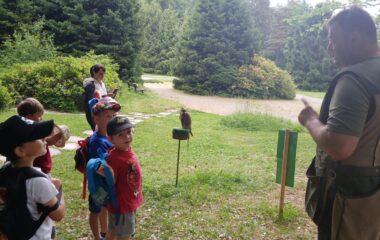 v&yacute;let - Karlov&aacute; Stud&aacute;nka - 793f52ea 458e 4ab1 a763 453b9c42d422 380x240
