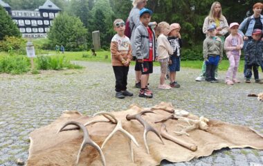 v&yacute;let - Karlov&aacute; Stud&aacute;nka - 8c13199e 8604 4402 aae6 00bbc0bf148b 380x240