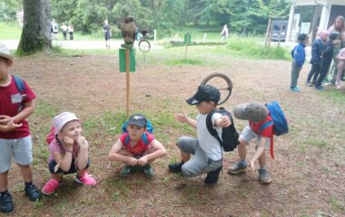 v&yacute;let - Karlov&aacute; Stud&aacute;nka - 8faca051 4758 49c3 bf8e 3387c0f85e5e 380x240