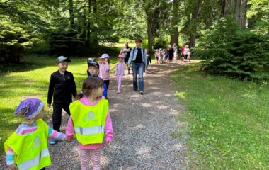 v&yacute;let - Karlov&aacute; Stud&aacute;nka - 9092a81c 53fa 449e abbb 1cb5d327d1a5 380x240