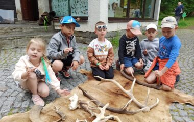 v&yacute;let - Karlov&aacute; Stud&aacute;nka - 98bb6dab 0089 4d6e b455 b9ddbe5ae3a9 380x240