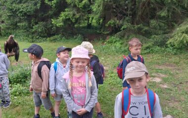 v&yacute;let - Karlov&aacute; Stud&aacute;nka - ac82f9d5 f148 4e62 a9d4 f62e204dcc58 380x240