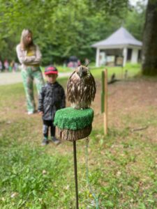 v&yacute;let - Karlov&aacute; Stud&aacute;nka - c72c3d1e 0a8a 4fb1 b844 c5c30f726d70 225x300