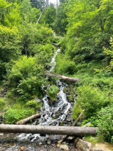 v&yacute;let - Karlov&aacute; Stud&aacute;nka - cf014a23 05ee 4e0d 969b 919b6b823e9a 225x300