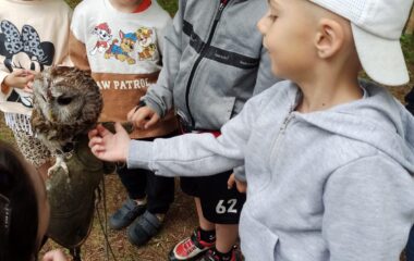 v&yacute;let - Karlov&aacute; Stud&aacute;nka - d688198f 229c 4e20 b32d 9ba50f3856e3 380x240