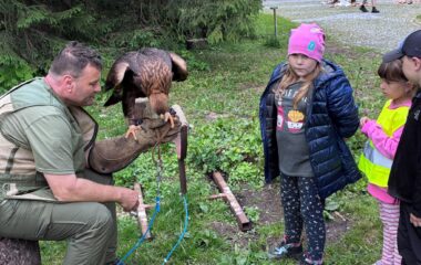 v&yacute;let - Karlov&aacute; Stud&aacute;nka - f4bdb7b0 f783 4947 8538 b5869600f3c6 380x240