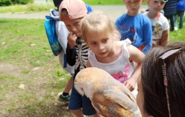 v&yacute;let - Karlov&aacute; Stud&aacute;nka - fa38f583 9e2e 44bb bbc4 2aa00db1729c 380x240