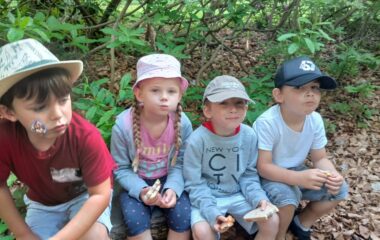 v&yacute;let - Karlov&aacute; Stud&aacute;nka - ffcc55ff b4c6 4c9a bdbe 36969b0215ef 380x240